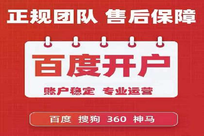 某电商平台的SEM推广策略及效果分析